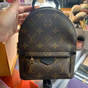 Louis Vuitton Palm Springs Mini